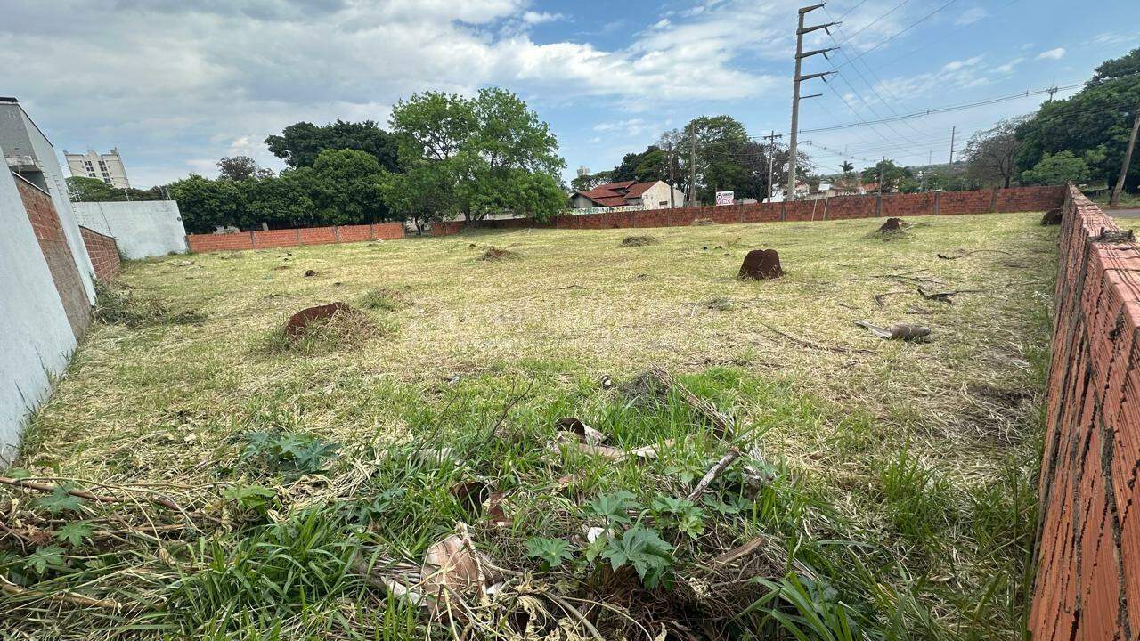 Terreno/Lote no Vila Aurora em Dourados/MS — foto 5