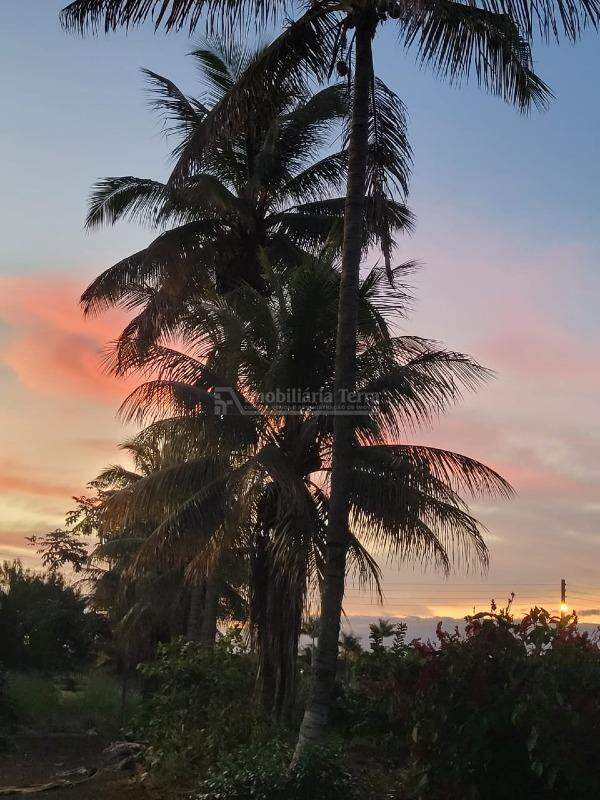 Rural com 4 quartos sendo 1 suíte no Chácaras Ipês em Dourados/MS — foto 18