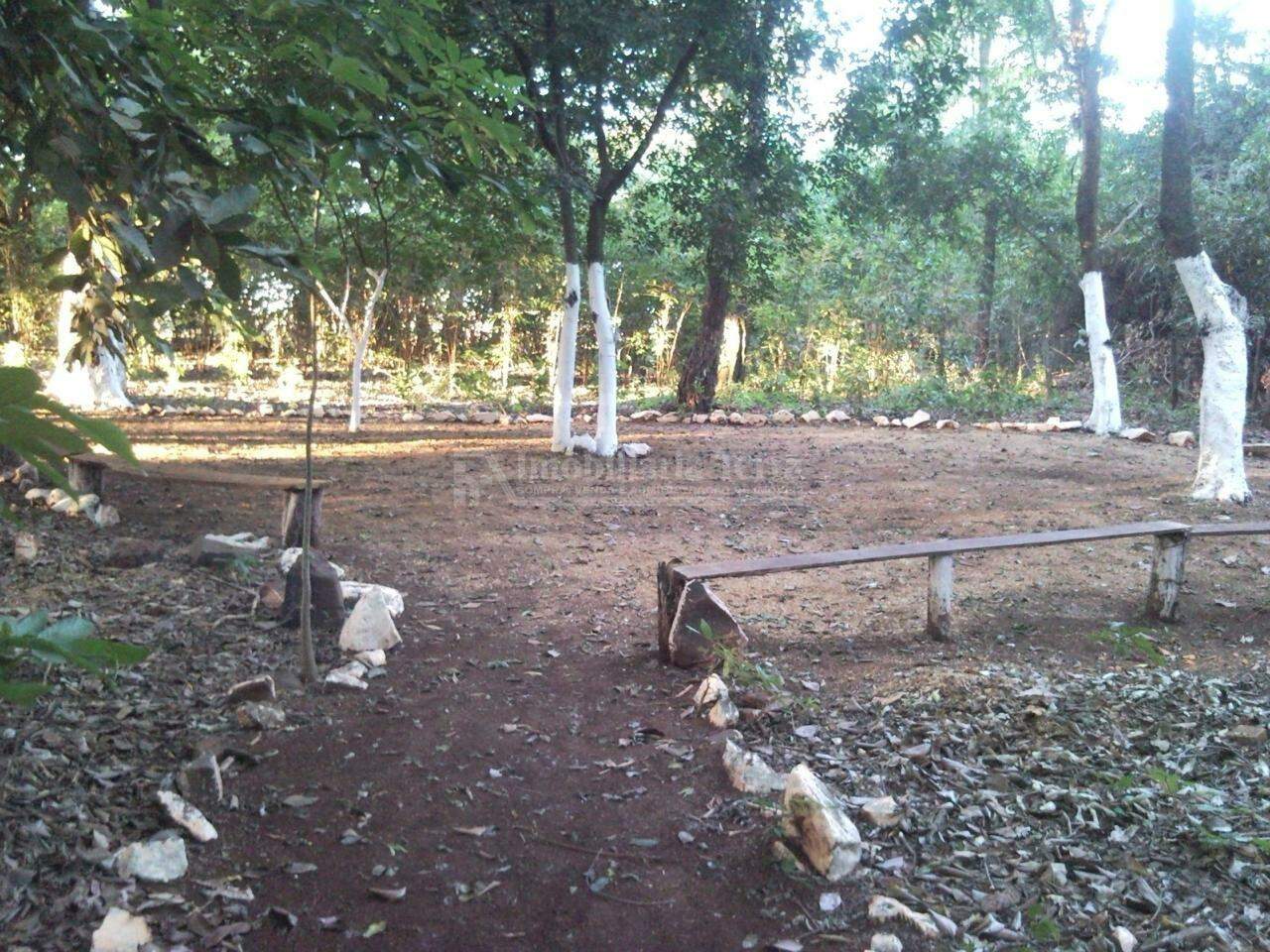 Rural no Jardim Cristhais, foto 11 de 19
