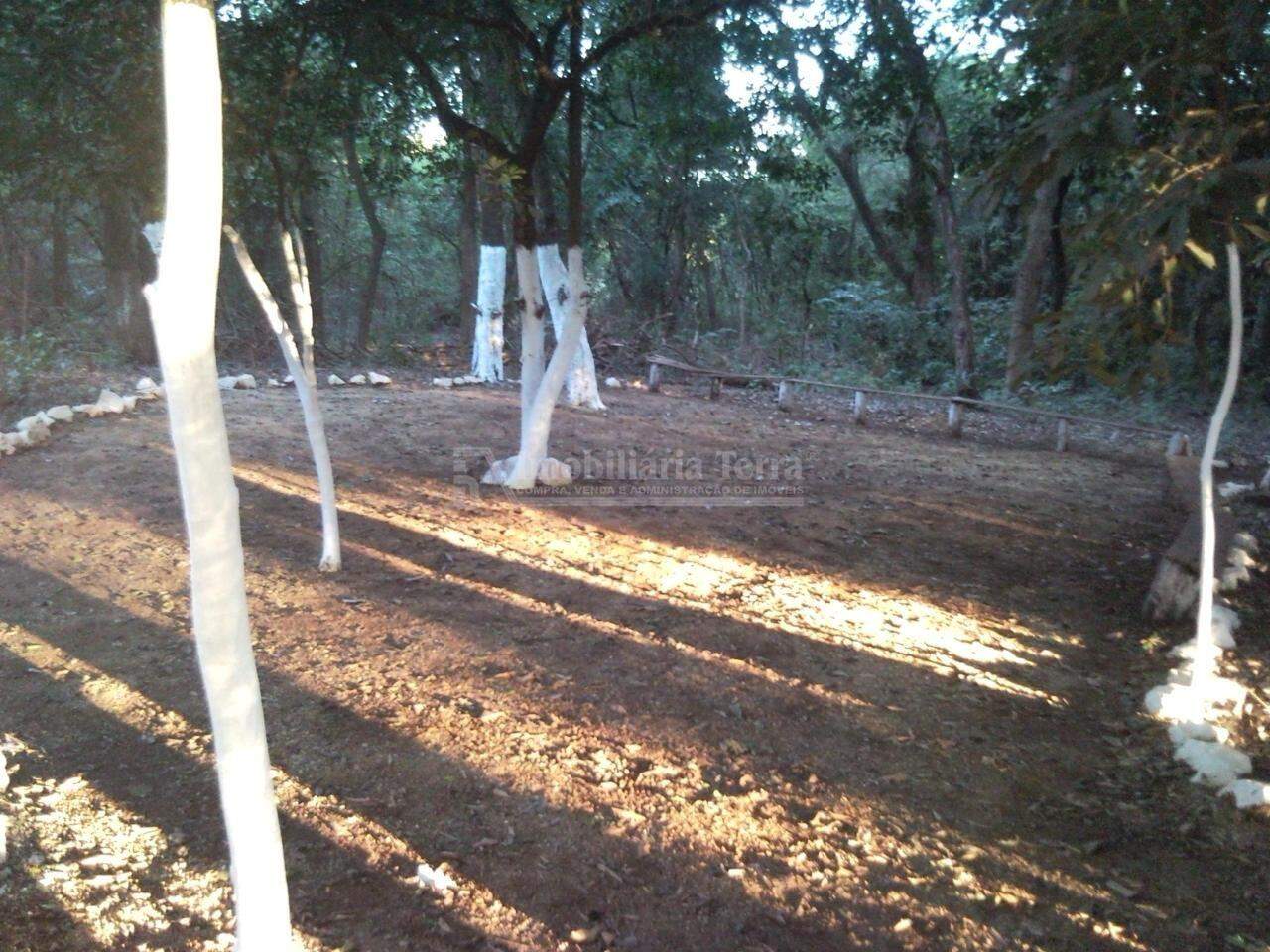 Rural no Jardim Cristhais, foto 12 de 19