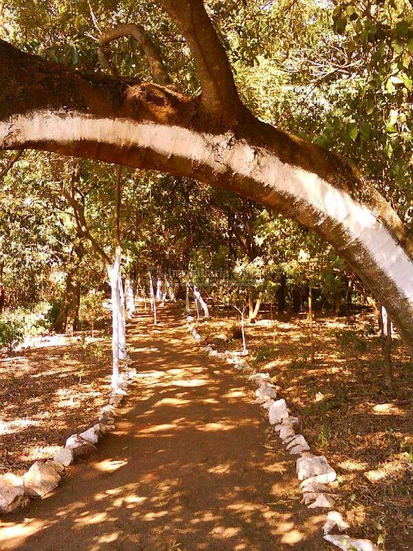 Rural no Jardim Cristhais, foto 10 de 19