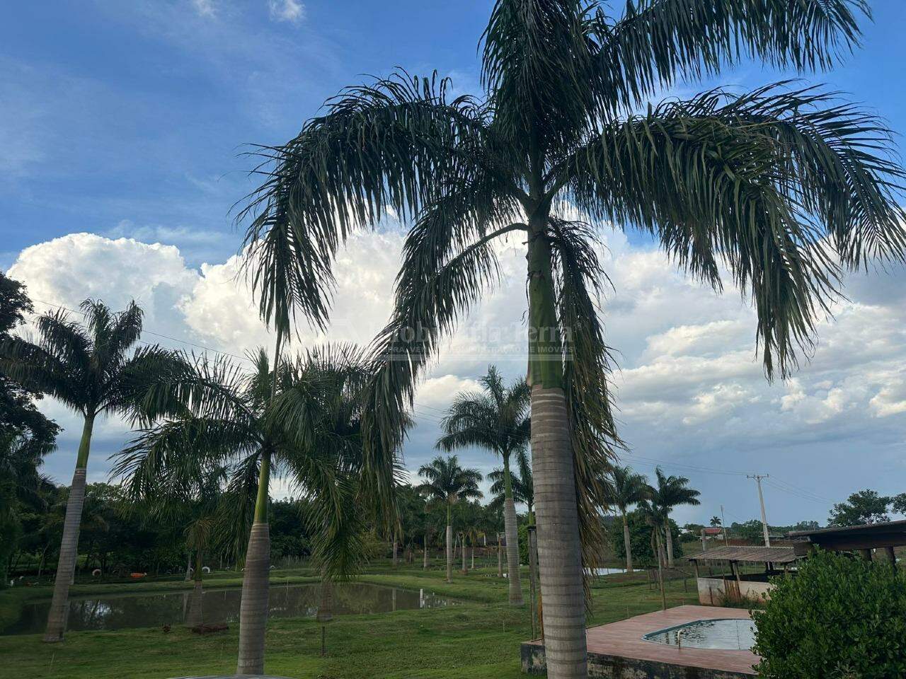 Rural com 2 quartos sendo 1 suíte no Vila Vargas em Dourados/MS — foto 14