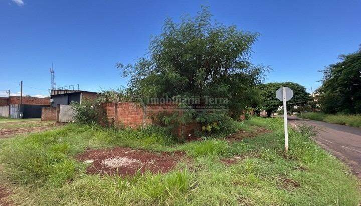 Terreno em Altos do Indaiá, foto 2 de 2