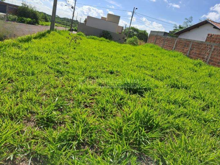 Terreno no Residencial Cidade Jardim I, foto 4 de 4