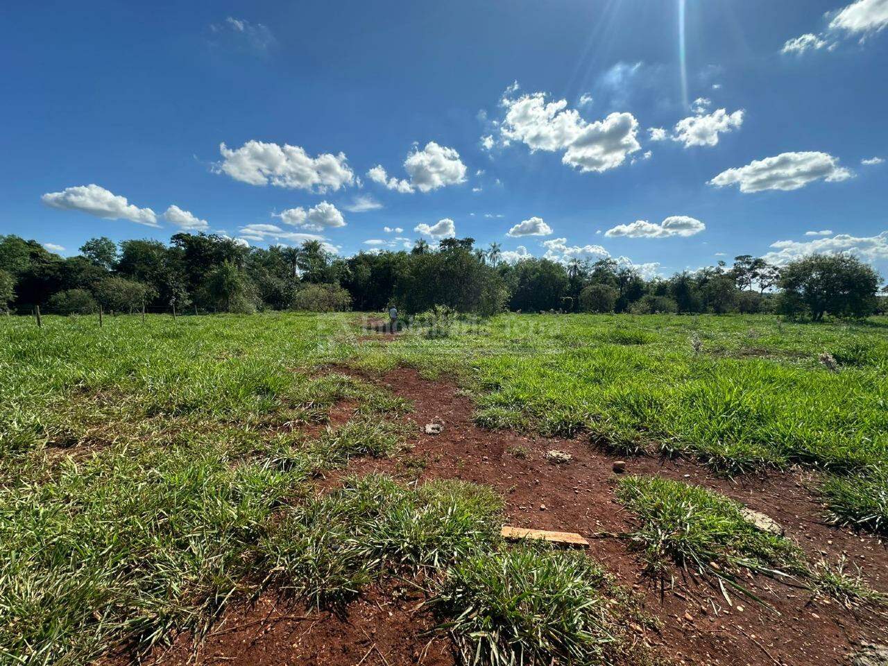 Rural no Zona Rural em Dourados/MS — foto 1