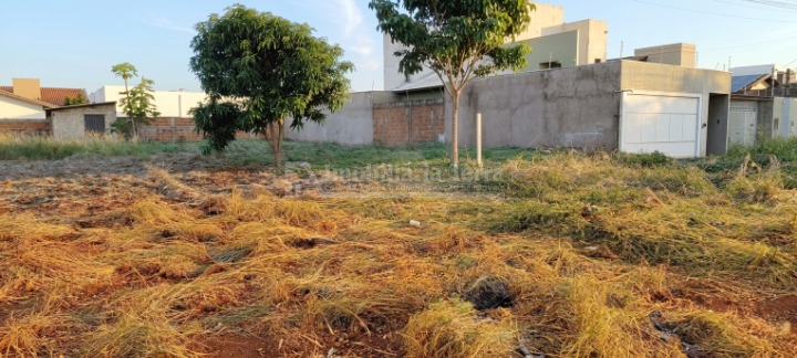 Terreno/Lote no Monte Carlo em Dourados/MS
