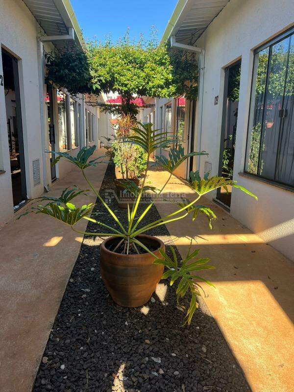 Apartamento com 1 quartos no Jardim Universitário em Dourados/MS — foto 2