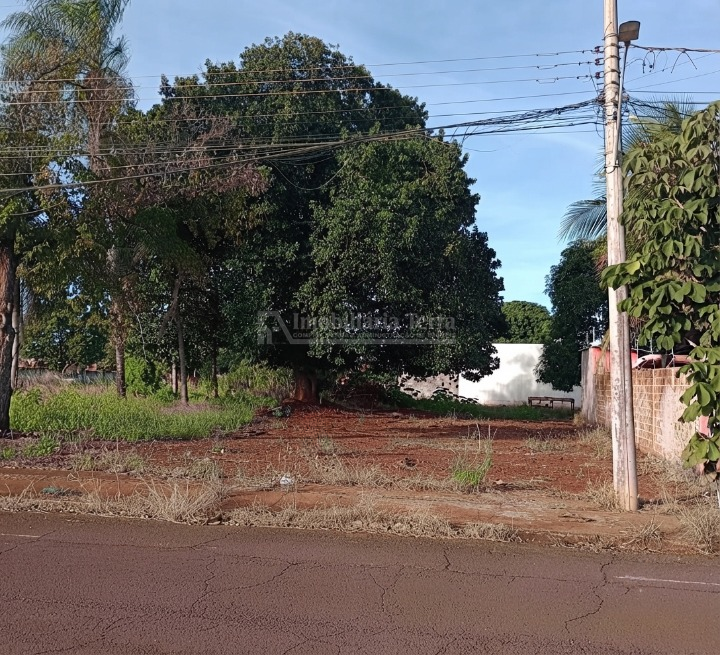 Terreno/Lote no Vila Alba em Dourados/MS — foto 2