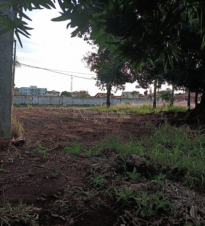 Terreno/Lote no Vila Alba em Dourados/MS — foto 3