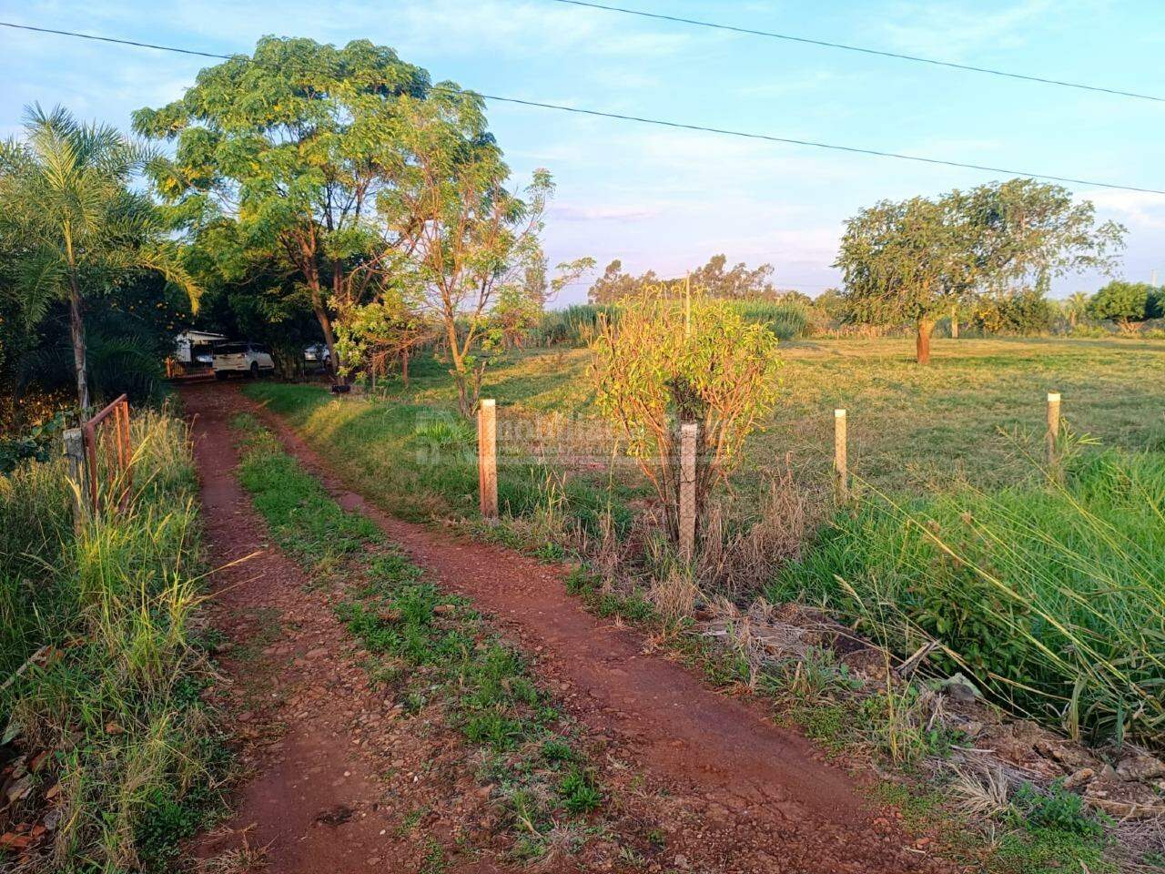 Rural no Panambi em Dourados/MS — foto 6