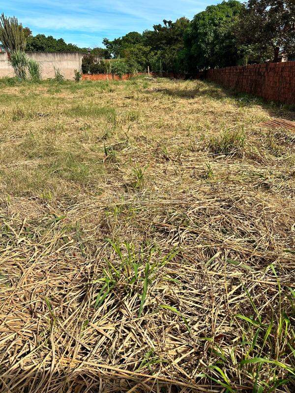 Terreno/Lote no Campo Belo I e II em Dourados/MS — foto 4