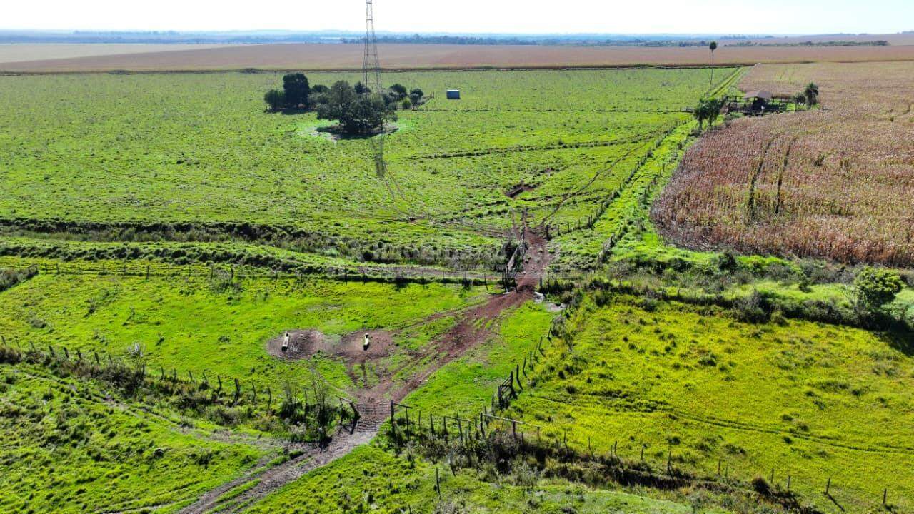 Rural no Área Rural em Caarapó/MS — foto 10
