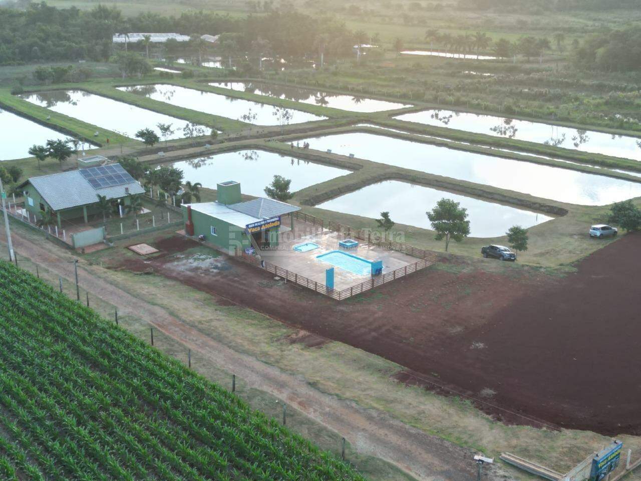 Rural com 1 quartos no Zona Rural em Dourados/MS — foto 3