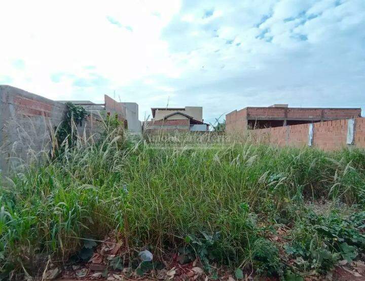 Terreno/Lote no Esplanada em Dourados/MS — foto 1