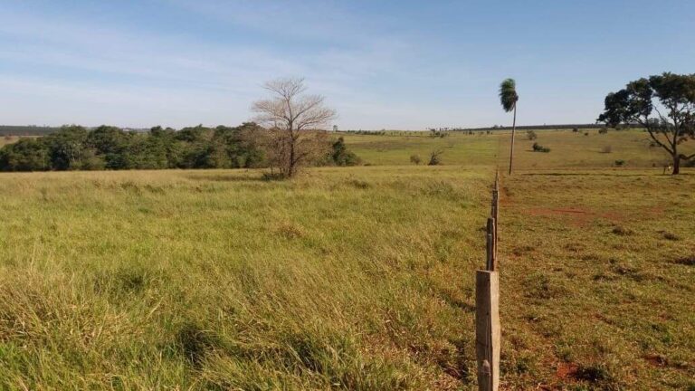Rural no BR 376 em Glória de Dourados/MS