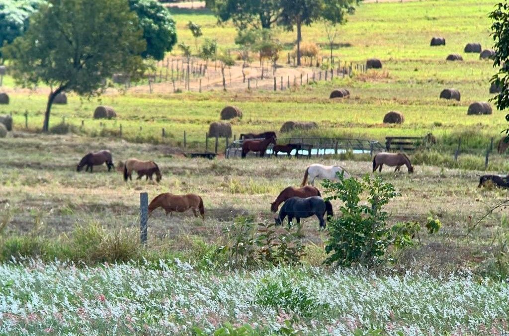 Rural na Zona Rural, foto 5 de 10