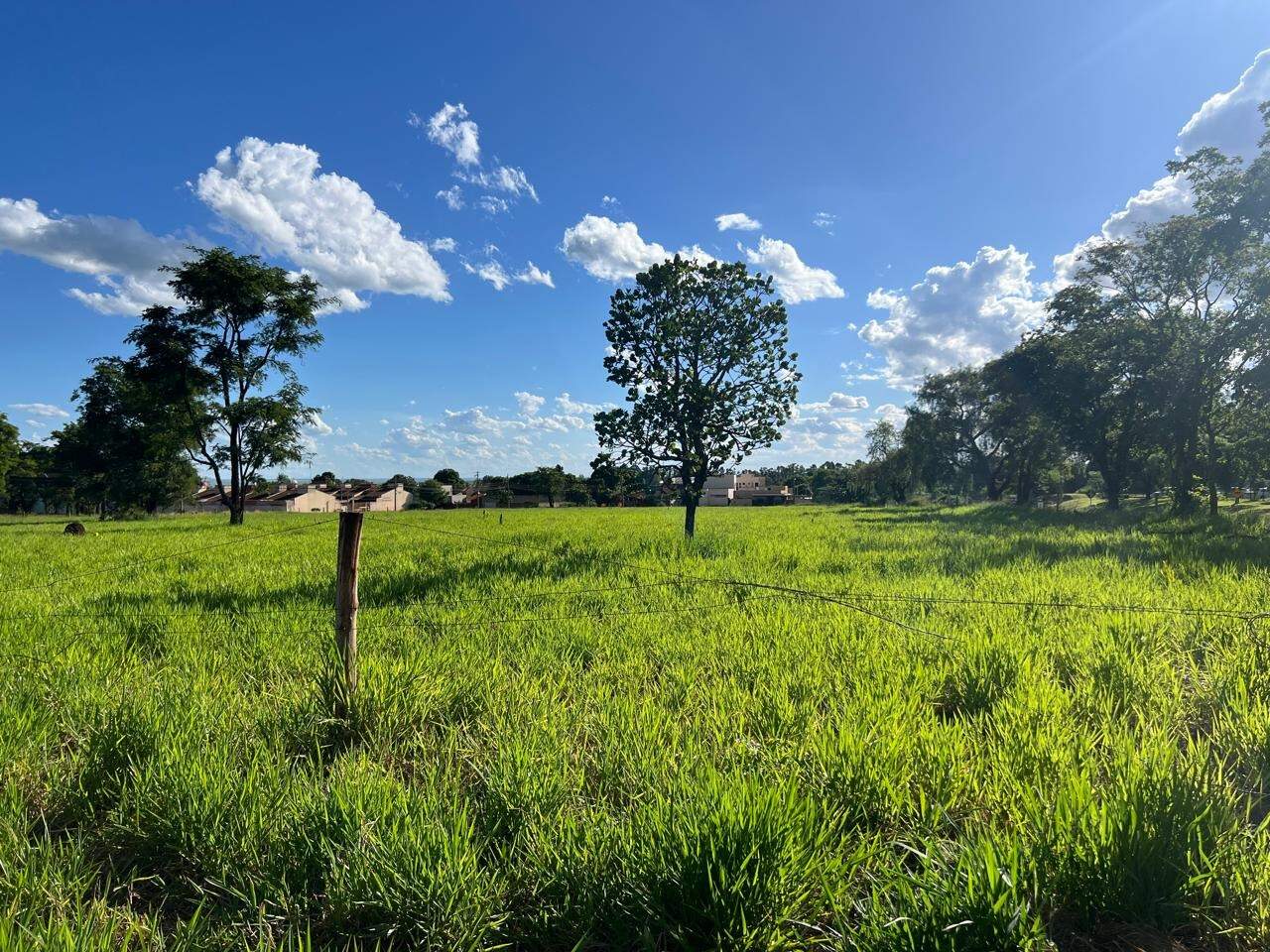 Terreno em Altos do Indaiá, foto 1 de 2