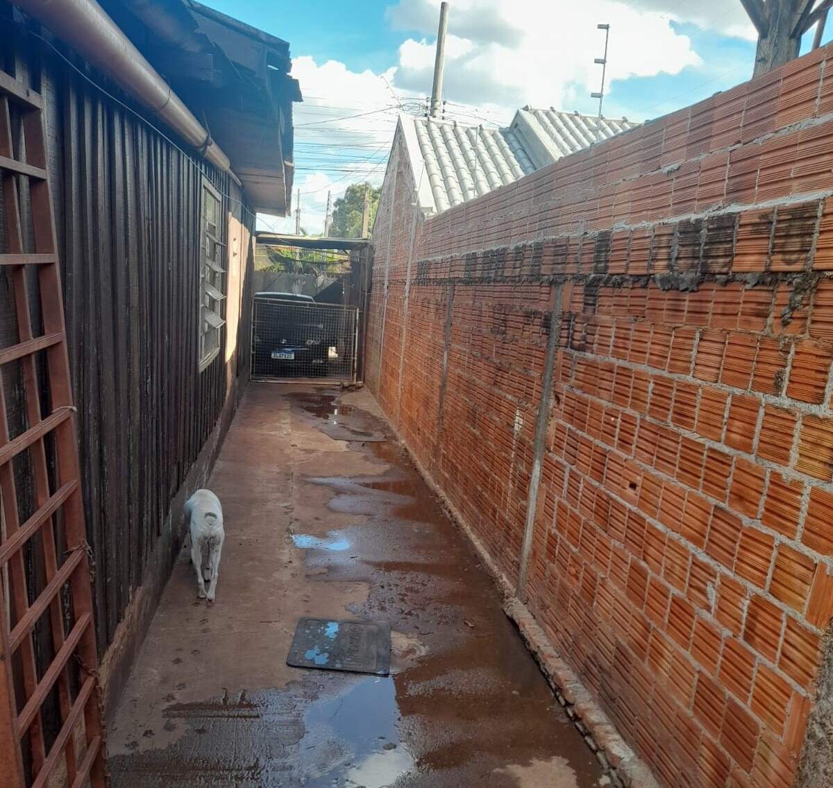 Casa com 4 quartos no Jardim Ouro Verde em Dourados/MS — foto 3