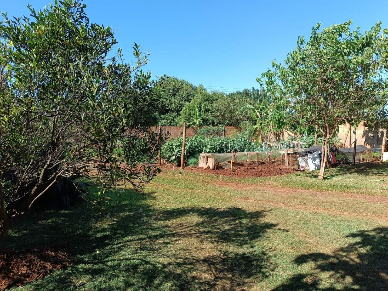 Rural com 3 quartos no Sitioca Ouro Fino em Dourados/MS — foto 17