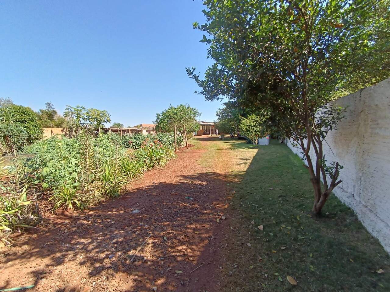 Rural com 3 quartos no Sitioca Ouro Fino em Dourados/MS — foto 19