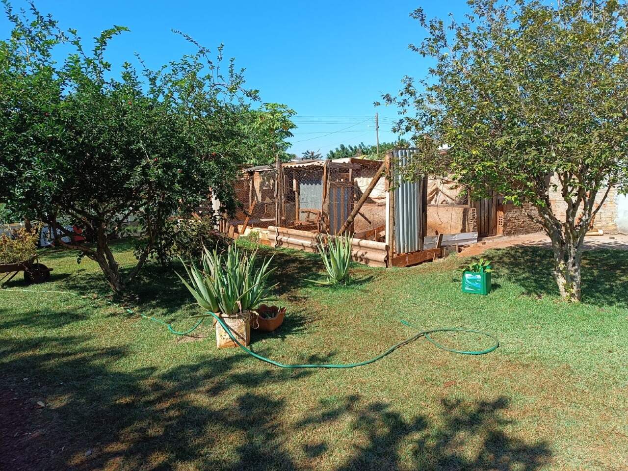 Rural com 3 quartos no Sitioca Ouro Fino em Dourados/MS — foto 16