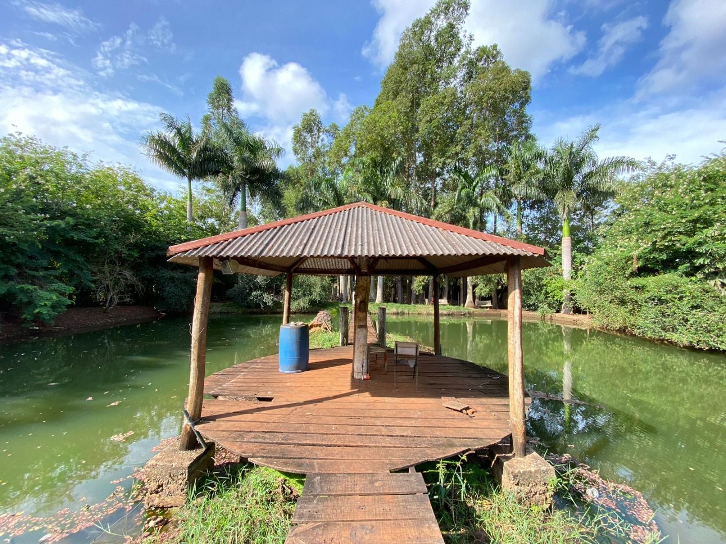 Rural com 1 quartos sendo 1 suíte no Vila São Braz em Dourados/MS — foto 15