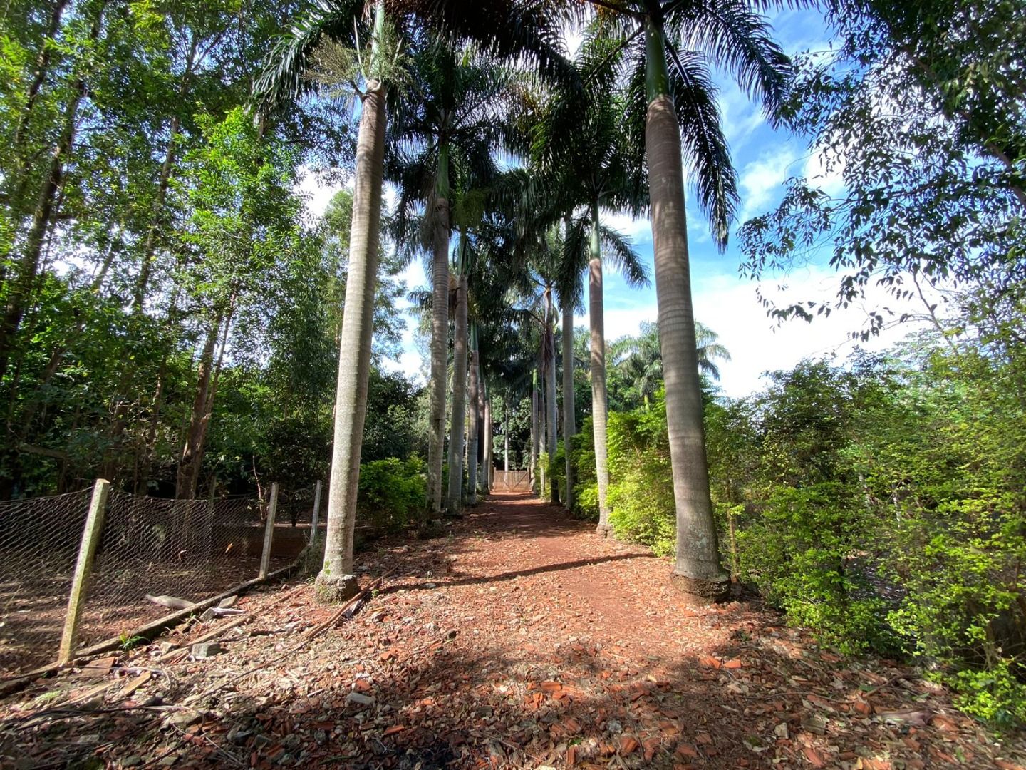 Rural com 1 quartos sendo 1 suíte no Vila São Braz em Dourados/MS — foto 2