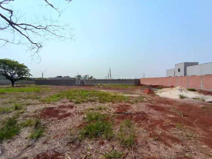 Terreno/Lote no Parque dos Jequitibás em Dourados/MS