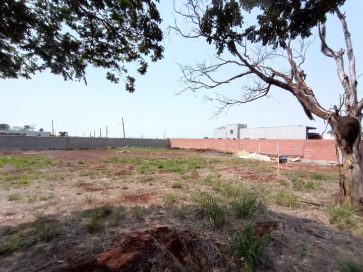 Terreno/Lote no Parque dos Jequitibás em Dourados/MS — foto 2