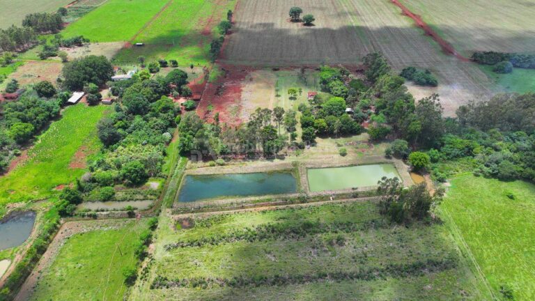 Rural no Sitio Novo Horizonte em Itaporã/MS