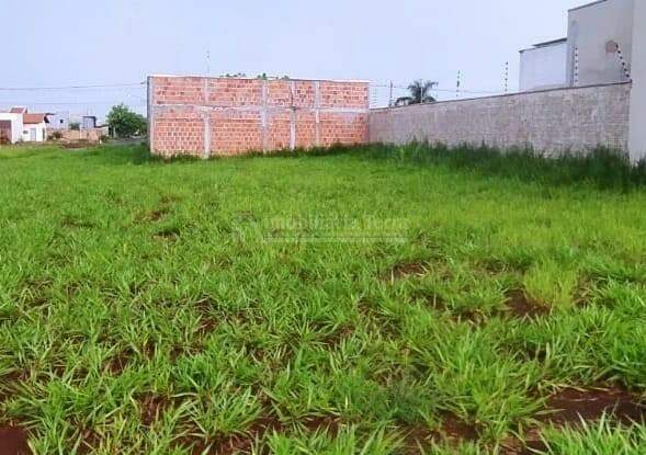 Terreno/Lote no Vival dos Ipês em Dourados/MS — foto 4