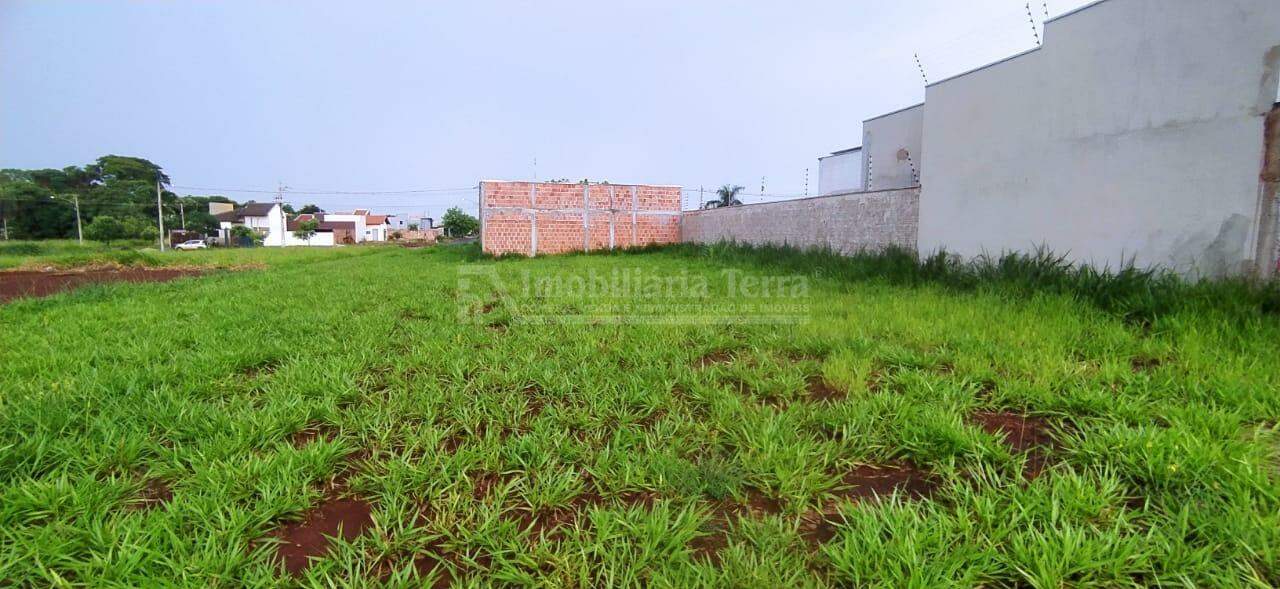 Terreno/Lote no Vival dos Ipês em Dourados/MS — foto 3