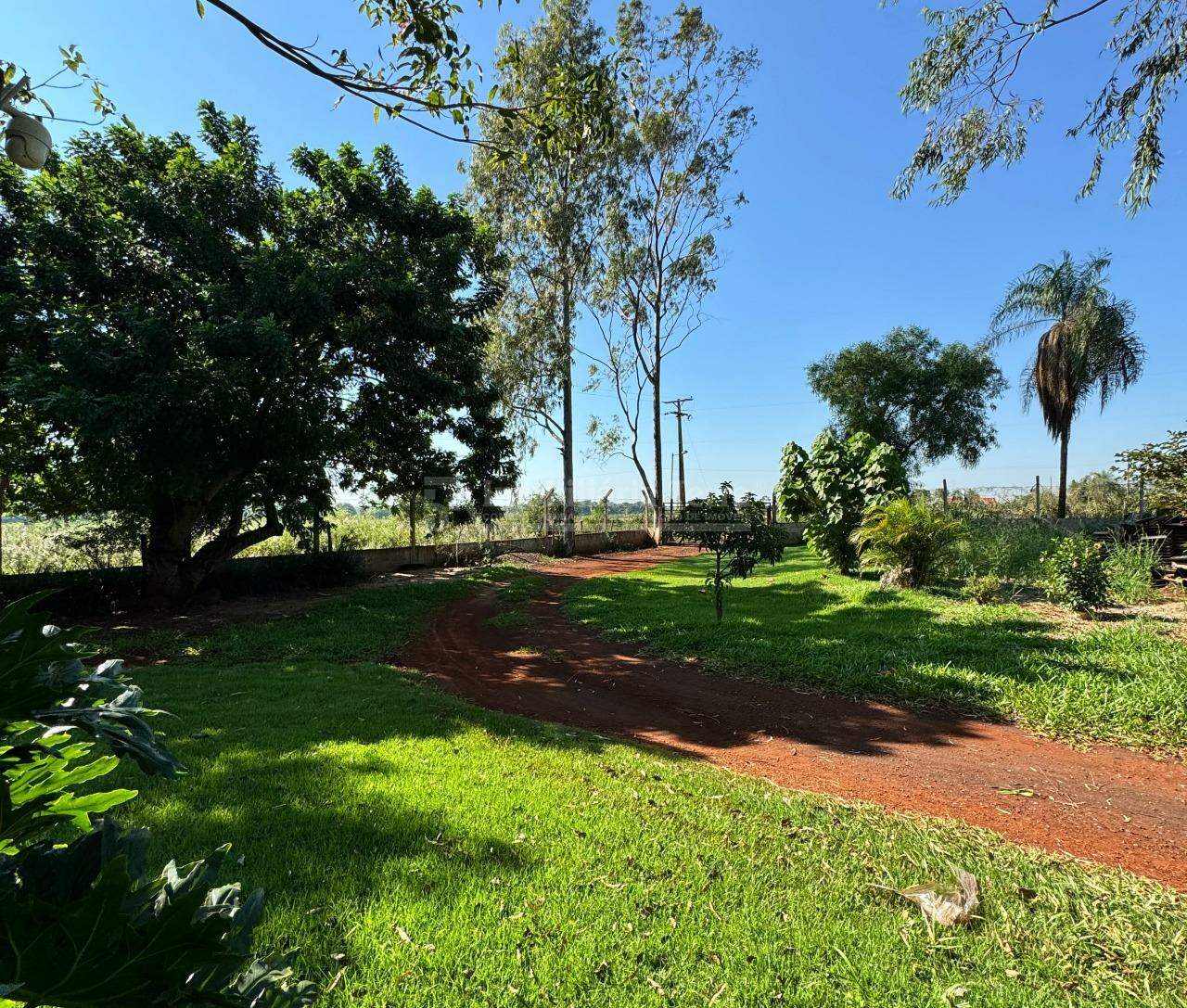 Rural com 4 quartos sendo 1 suíte no Área Rural de Dourados em Dourados/MS — foto 2