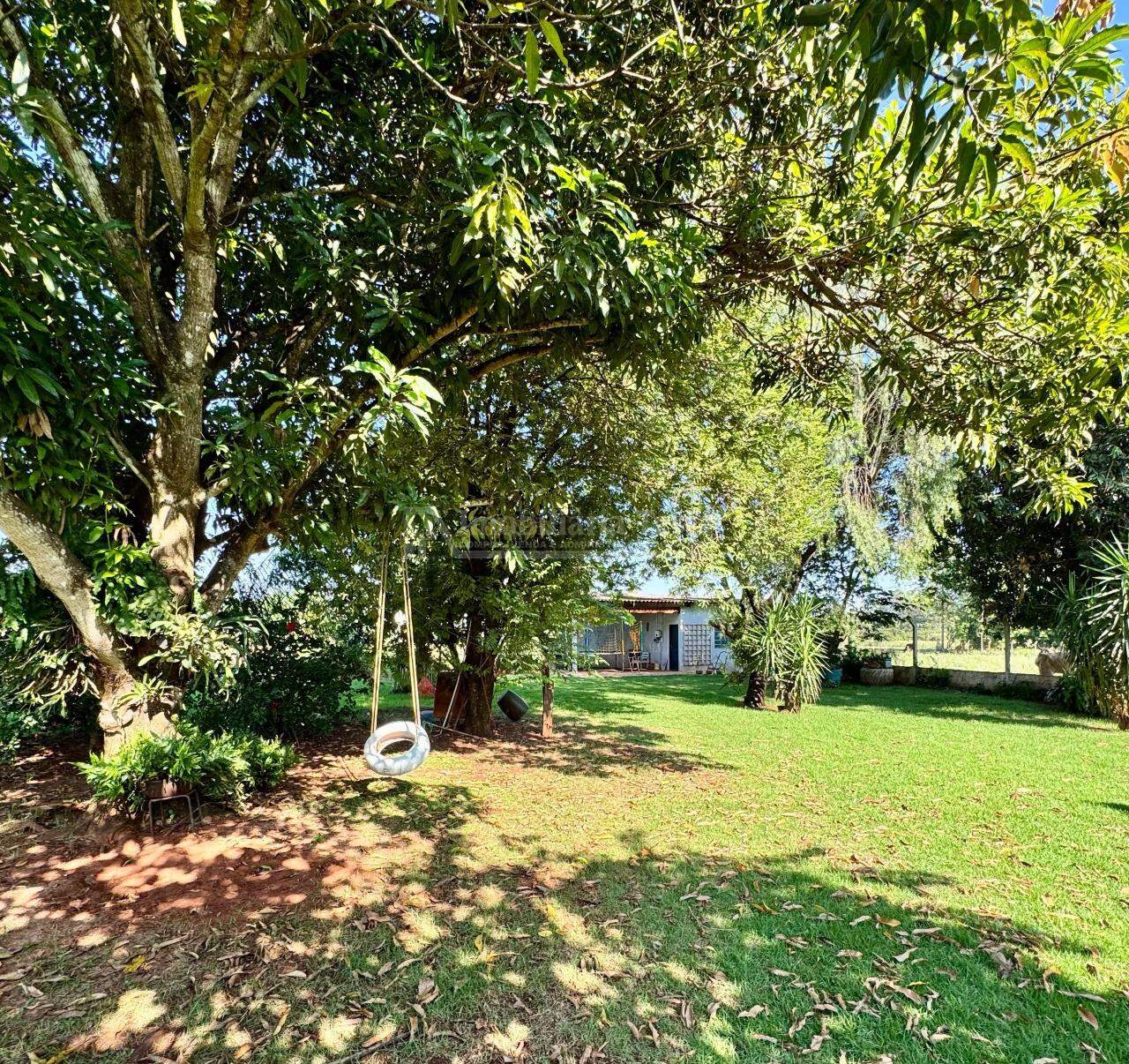 Rural com 4 quartos sendo 1 suíte no Área Rural de Dourados em Dourados/MS — foto 3