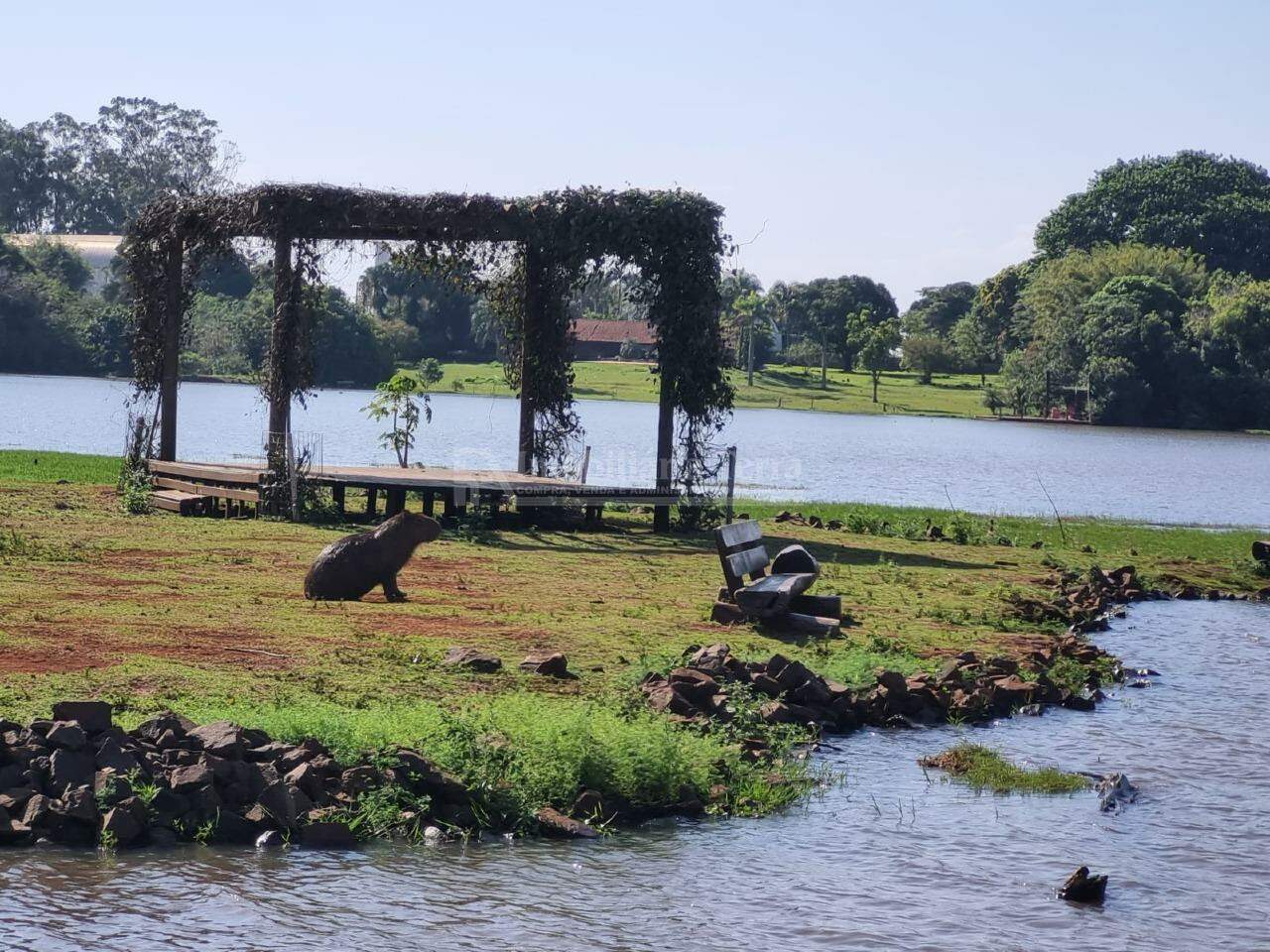 Terreno/Lote no Terras Alphaville em Dourados/MS — foto 4