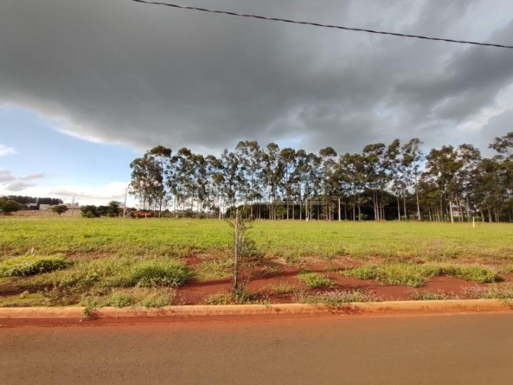 Terreno/Lote no Jardim Cristhais em Dourados/MS