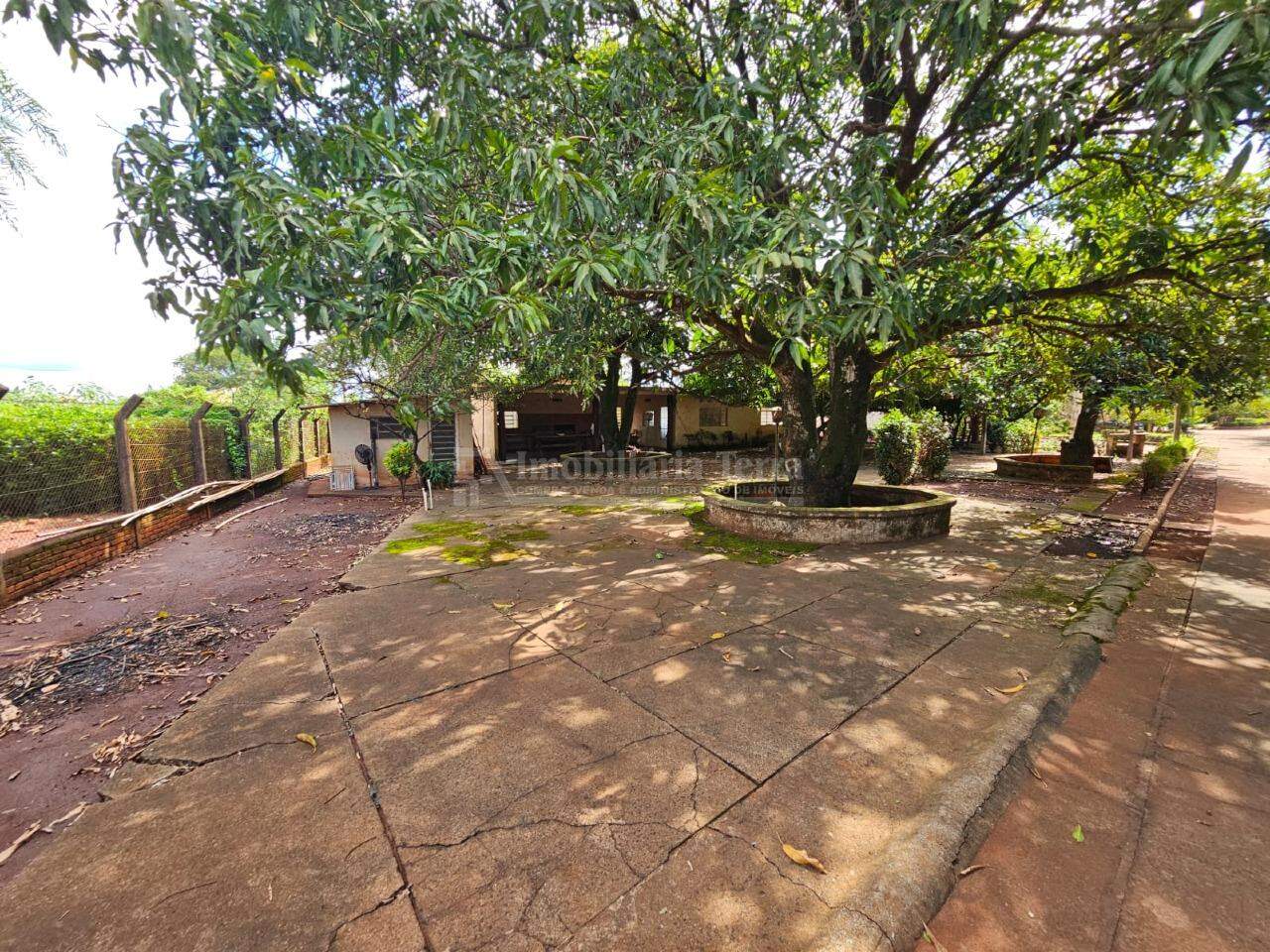 Terreno/Lote com 4 quartos no Chácara Califórnia em Dourados/MS — foto 2