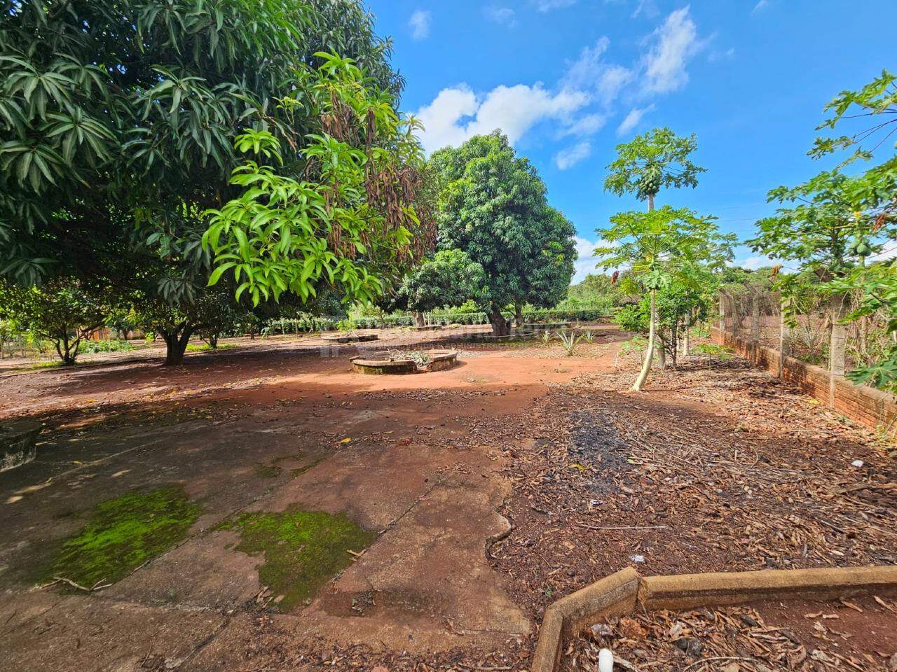 Terreno/Lote com 4 quartos no Chácara Califórnia em Dourados/MS — foto 17