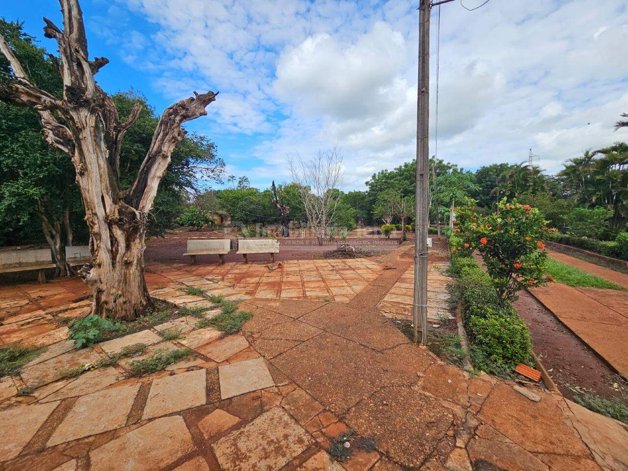 Terreno/Lote com 4 quartos no Chácara Califórnia em Dourados/MS — foto 15