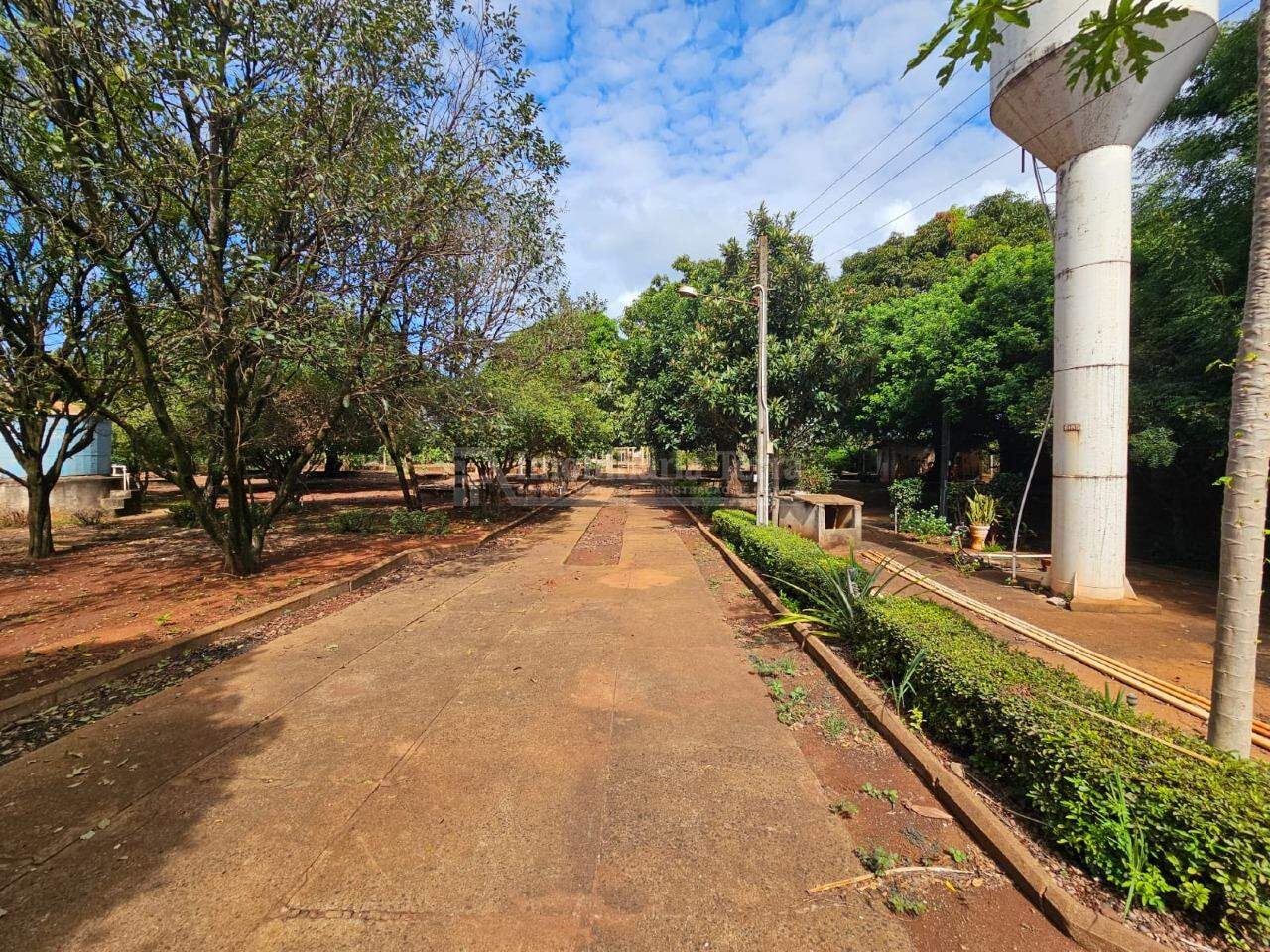 Terreno/Lote com 4 quartos no Chácara Califórnia em Dourados/MS — foto 4