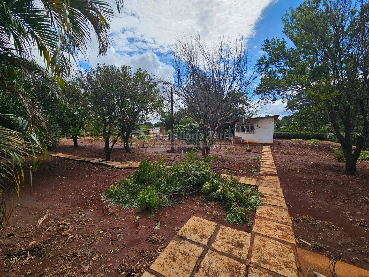Terreno/Lote com 4 quartos no Chácara Califórnia em Dourados/MS — foto 5