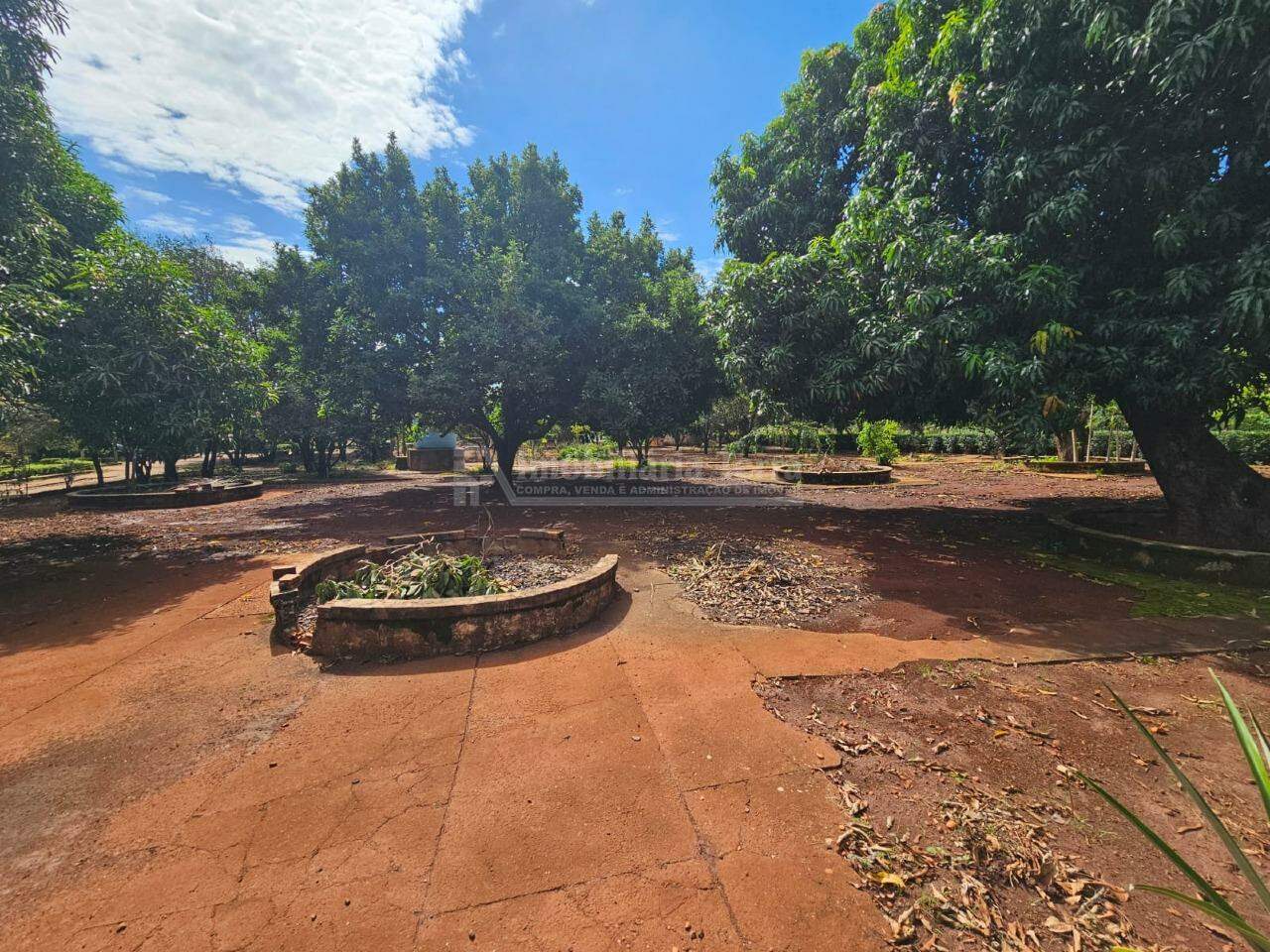 Terreno/Lote com 4 quartos no Chácara Califórnia em Dourados/MS — foto 16