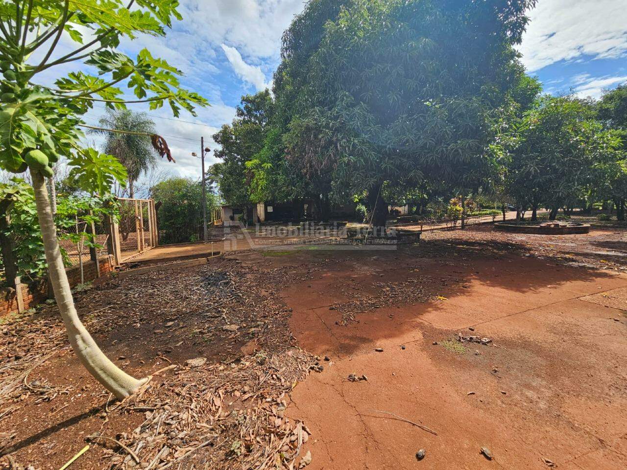 Terreno/Lote com 4 quartos no Chácara Califórnia em Dourados/MS — foto 3