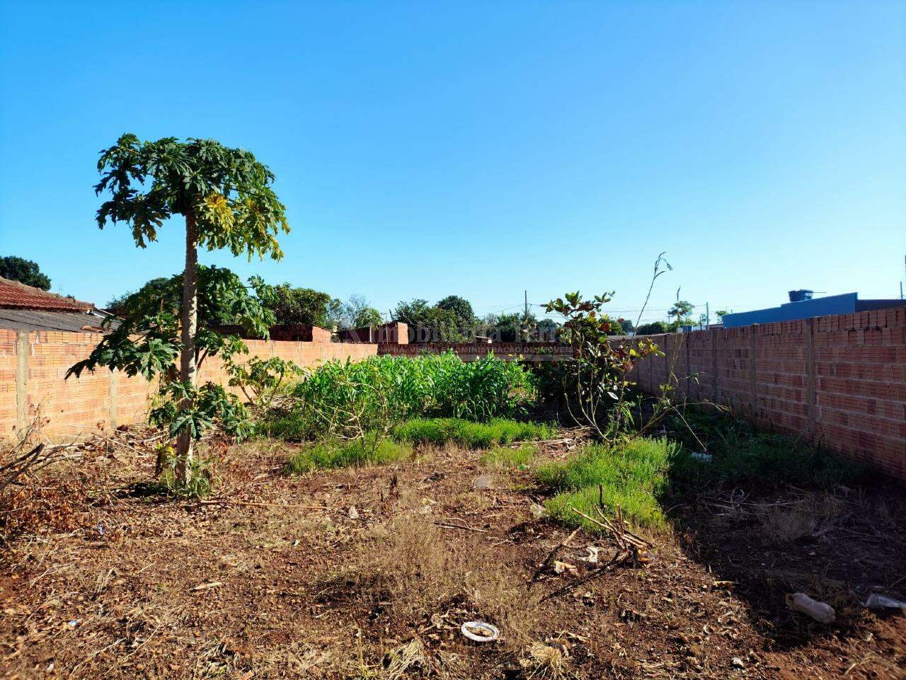 Terreno/Lote no Indápolis em Dourados/MS — foto 3