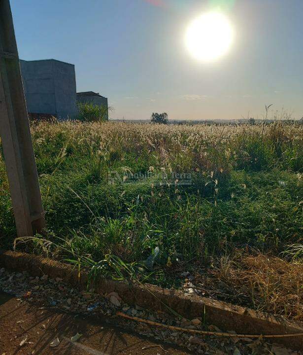 Terreno/Lote no Cidade Jardim I em Dourados/MS — foto 3