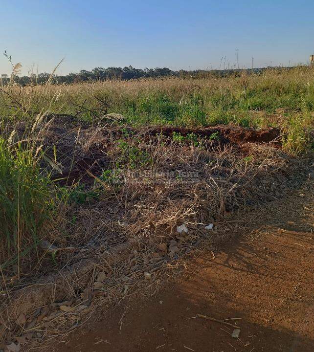 Terreno/Lote no Cidade Jardim I em Dourados/MS — foto 4