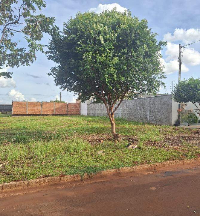 Terreno/Lote no Bonanza em Dourados/MS — foto 3
