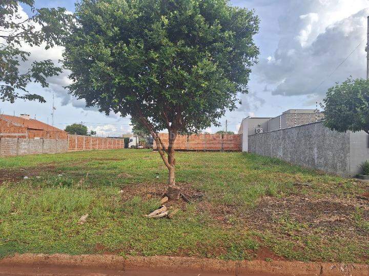 Terreno/Lote no Bonanza em Dourados/MS — foto 2