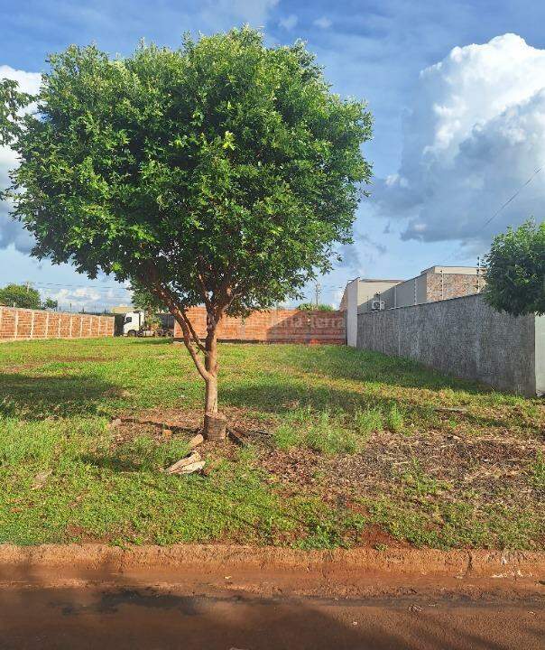 Terreno/Lote no Bonanza em Dourados/MS